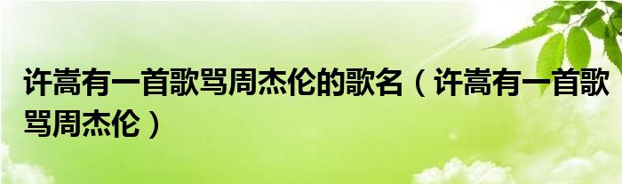 许嵩有一首歌骂周杰伦的歌名（许嵩有一首歌骂周杰伦）