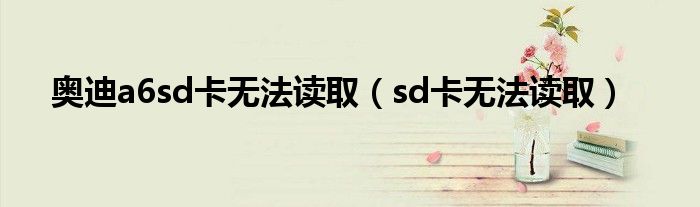 奥迪a6sd卡无法读取（sd卡无法读取）