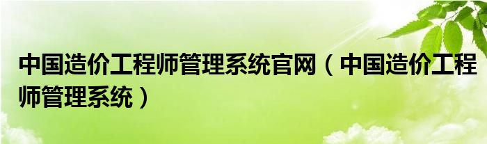 中国造价工程师管理系统官网（中国造价工程师管理系统）