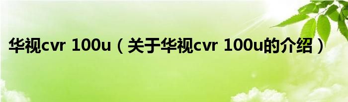 华视cvr 100u（关于华视cvr 100u的介绍）