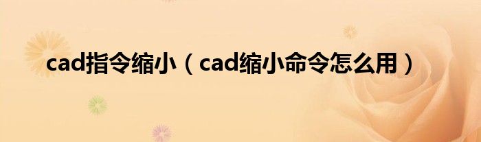 cad指令缩小（cad缩小命令怎么用）