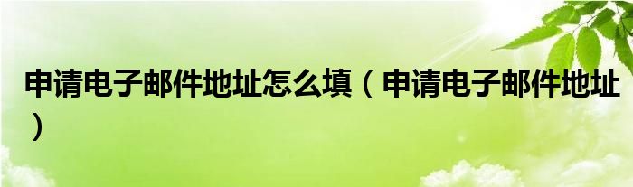 申请电子邮件地址怎么填（申请电子邮件地址）