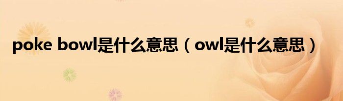 poke bowl是什么意思（owl是什么意思）