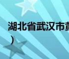 湖北省武汉市黄陂区邮编（武汉市黄陂区邮编）