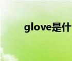 glove是什么意思（gl是什么意思）