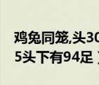 鸡兔同笼,头30个,足86（今有鸡兔同笼上有35头下有94足）