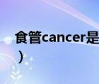 食管cancer是什么意思（cancer是什么意思）