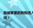 我被家里的狗狗进入了小说阅读（我被家里的狗狗进入了小说）