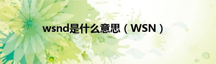 wsnd是什么意思（WSN）