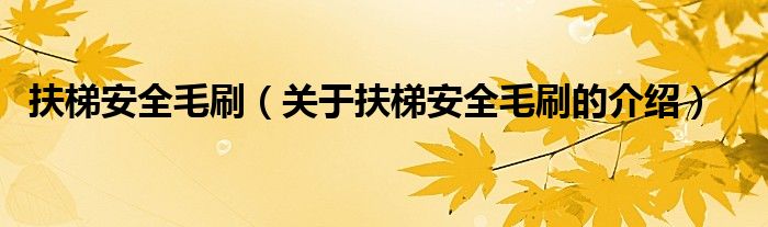 扶梯安全毛刷（关于扶梯安全毛刷的介绍）