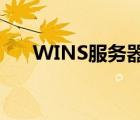 WINS服务器（wins服务器怎么设置）