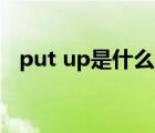 put up是什么意思（put off是什么意思）