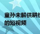 童孙未解供耕织也傍桑阴学种瓜的意思是什么的短视频