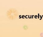 securely名词（secure的名词）