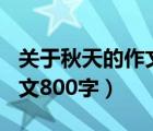 关于秋天的作文800字六年级（关于秋天的作文800字）