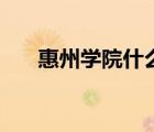 惠州学院什么水平（惠州学院怎么样）