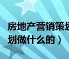 房地产营销策划公司是做什么的（地产营销策划做什么的）