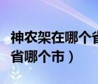 神农架在哪个省哪个市哪个县（神农架在哪个省哪个市）