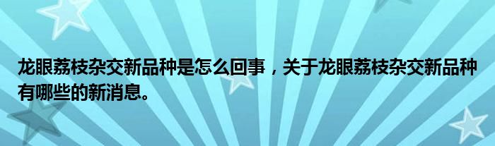 龙眼荔枝杂交新品种是怎么回事，关于龙眼荔枝杂交新品种有哪些的新消息。