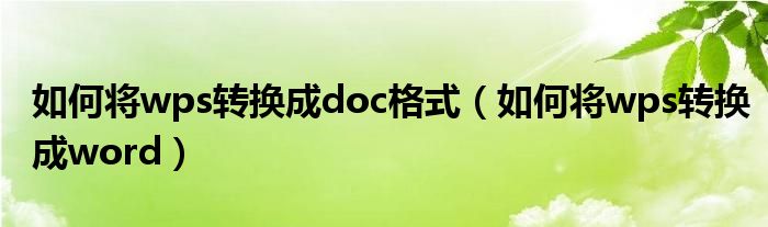 如何将wps转换成doc格式（如何将wps转换成word）