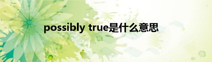 possibly true是什么意思