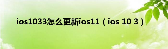 ios1033怎么更新ios11（ios 10 3）