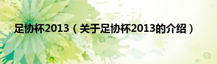 足协杯2013（关于足协杯2013的介绍）