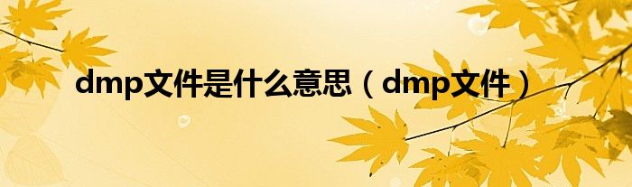 dmp文件是什么意思（dmp文件）