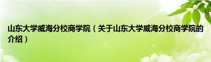 山东大学威海分校商学院（关于山东大学威海分校商学院的介绍）