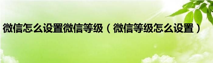 微信怎么设置微信等级（微信等级怎么设置）