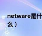 netware是什么时候发明的（netware是什么）