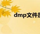 dmp文件是什么意思（dmp文件）