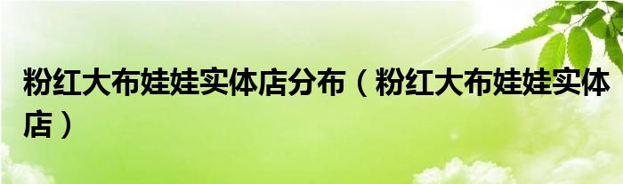 粉红大布娃娃实体店分布（粉红大布娃娃实体店）