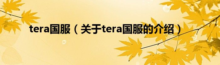 tera国服（关于tera国服的介绍）