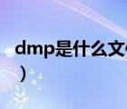 dmp是什么文件,引起蓝屏（dmp是什么文件）