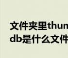 文件夹里thumbs.db是干什么的（thumbs db是什么文件）