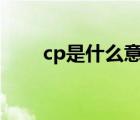 cp是什么意思(腐)（cp是什么意思）