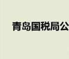 青岛国税局公务员真实待遇（青岛国税）