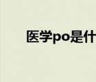 医学po是什么意思（po是什么意思）