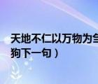 天地不仁以万物为刍狗下一句怎么读（天地不仁以万物为刍狗下一句）