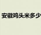 安徽鸡头米多少钱一斤（鸡头米多少钱一斤）