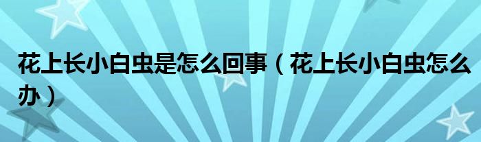 花上长小白虫是怎么回事（花上长小白虫怎么办）