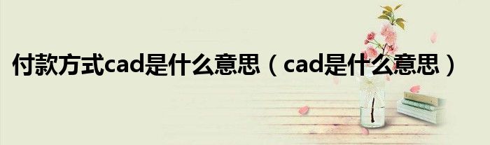 付款方式cad是什么意思（cad是什么意思）