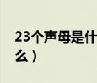 23个声母是什么格子的照片（23个声母是什么）