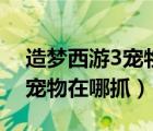 造梦西游3宠物在哪里可以捕捉（造梦西游3宠物在哪抓）