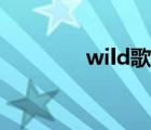 wild歌词大意（wild歌词）