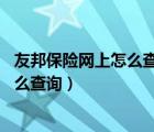 友邦保险网上怎么查询（公司跟我们缴纳的友邦保险 我们怎么查询）