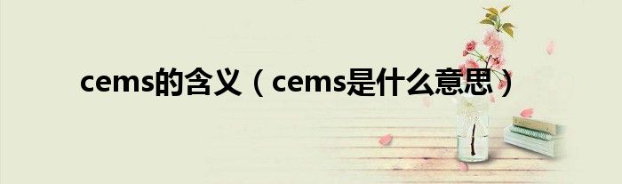 cems的含义（cems是什么意思）