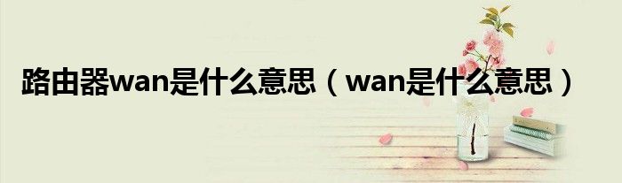 路由器wan是什么意思（wan是什么意思）