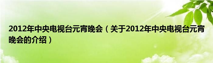 2012年中央电视台元宵晚会（关于2012年中央电视台元宵晚会的介绍）